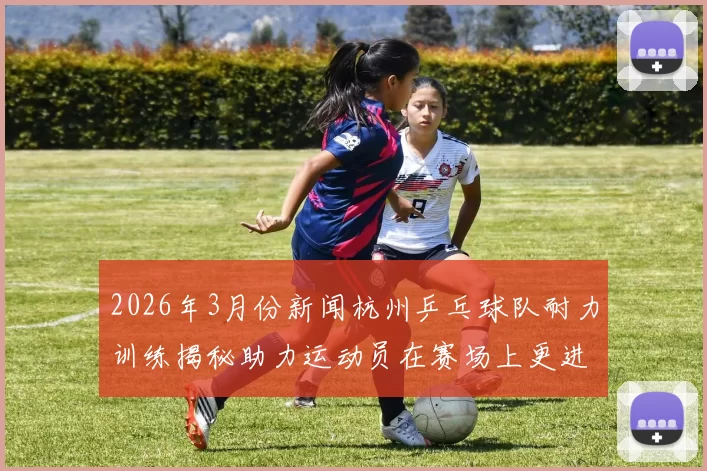 2026年3月份新闻杭州乒乓球队耐力训练揭秘助力运动员在赛场上更进一步